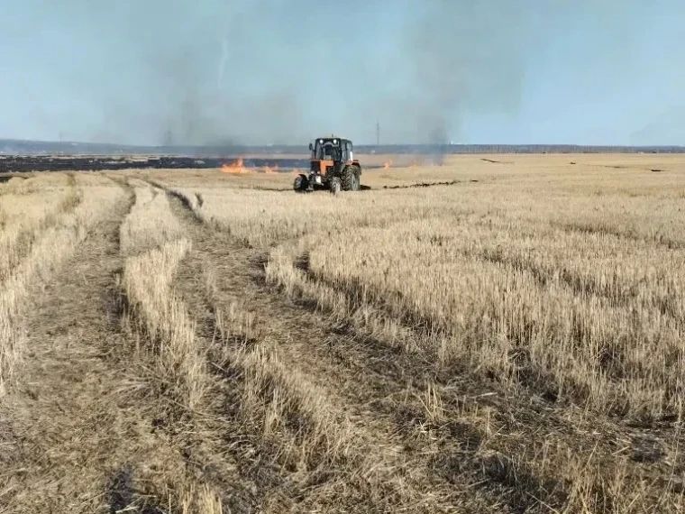 ����� �� ����� ������ � ��������� � �������� ����� ������ 3,5 �������