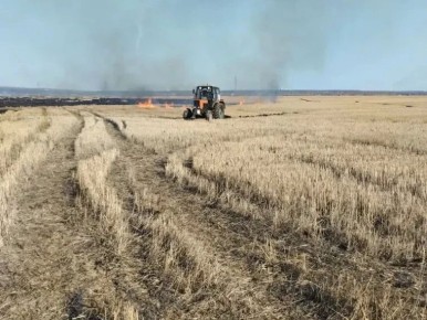 ����� �� ����� ������ � ��������� � �������� ����� ������ 3,5 �������