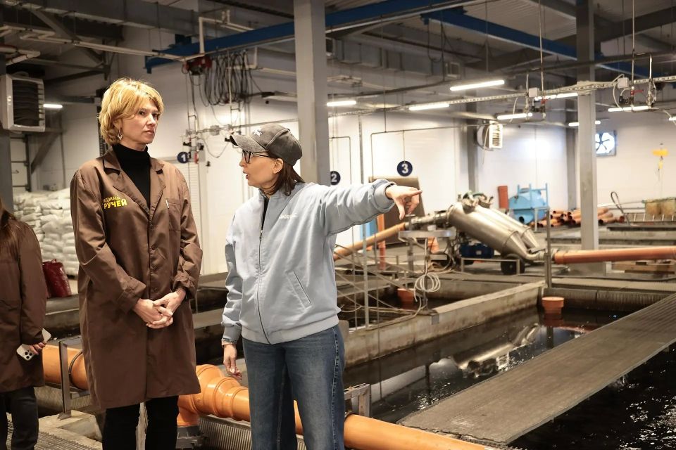 ������ ��� � ������� ������� ������������ � ������� ������ ����������� ����������� �������