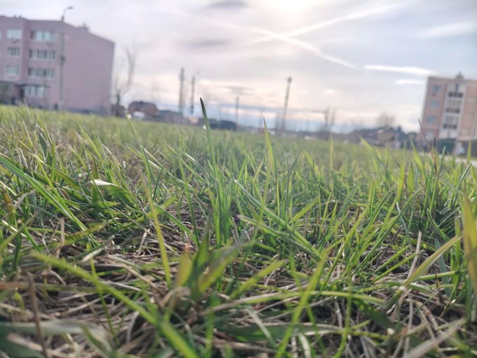 � �������� ���������� �������� ����� :