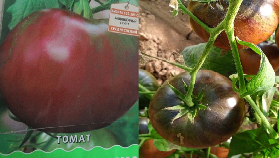 ������ ����� �������� �������� �� ����� ������: ���� ���������� ������