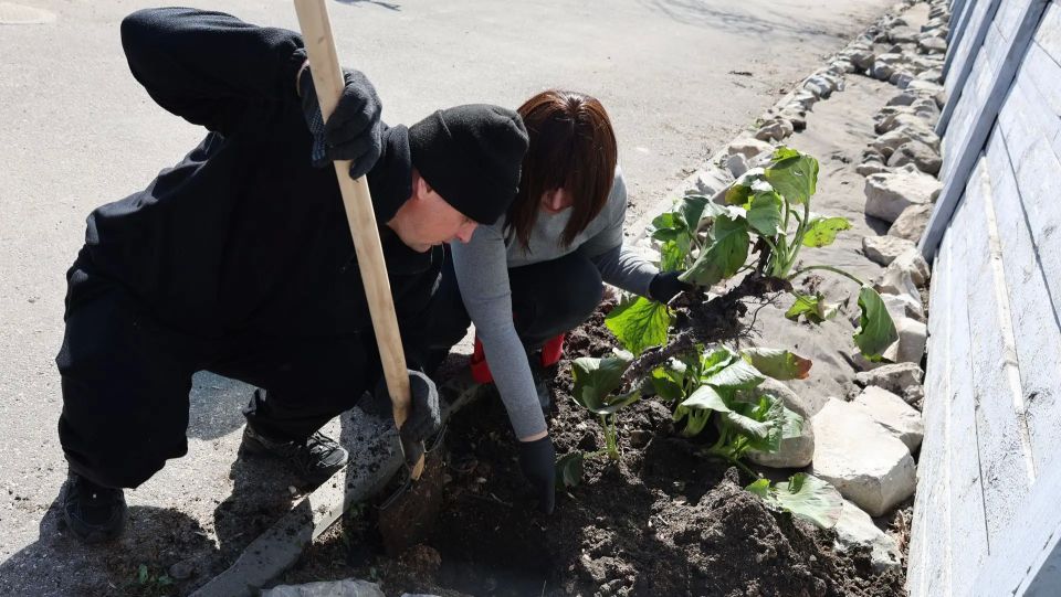 ����������� ����������� ������� ��������� �� ��������������� ���������� �����-����������� ������� �.�. ������