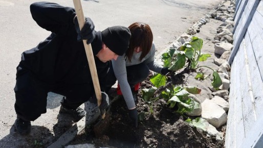 ����������� ����������� ������� ��������� �� ��������������� ���������� �����-����������� ������� �.�. ������