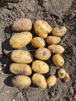 ��� ����� ���������� ���������: ������� ������ �� ������������ �������