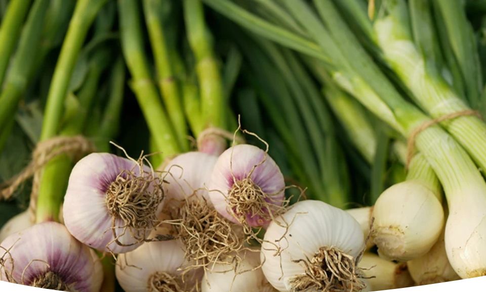 ������� ������� ��� ����������� �������� ���� � �������