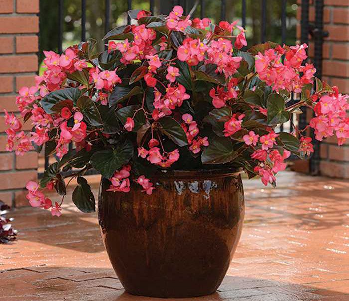 ��� ��������� ������� �������������: ������� ����� � �����������