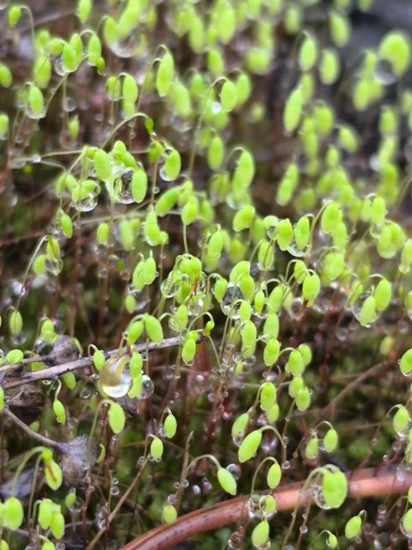 ������ ����, ������!. �������, 20 ������, �������� ������������ ���� ������ �����, ���� ������� ������ �����, ���� ���������� ����� � ���� ��������������� ������������� ��� ��. ����������� �� �������� 73