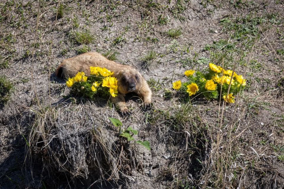 ���� �� ������ ��������� �������, ����� ������� ��� �� ������ � � ����� ����� ���� � ������