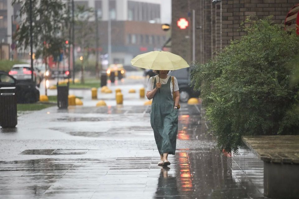 � ���������� �� ���� ������ 15 ����������� ������� � ����� �������� �������� �����