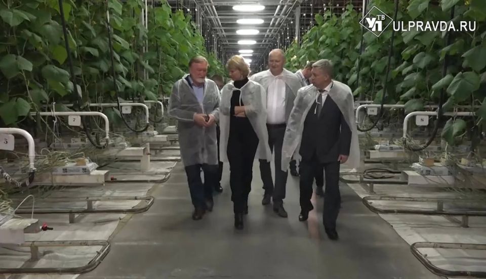 ����������� ������� ���������� ������ ������ �� �������� ������� ��������