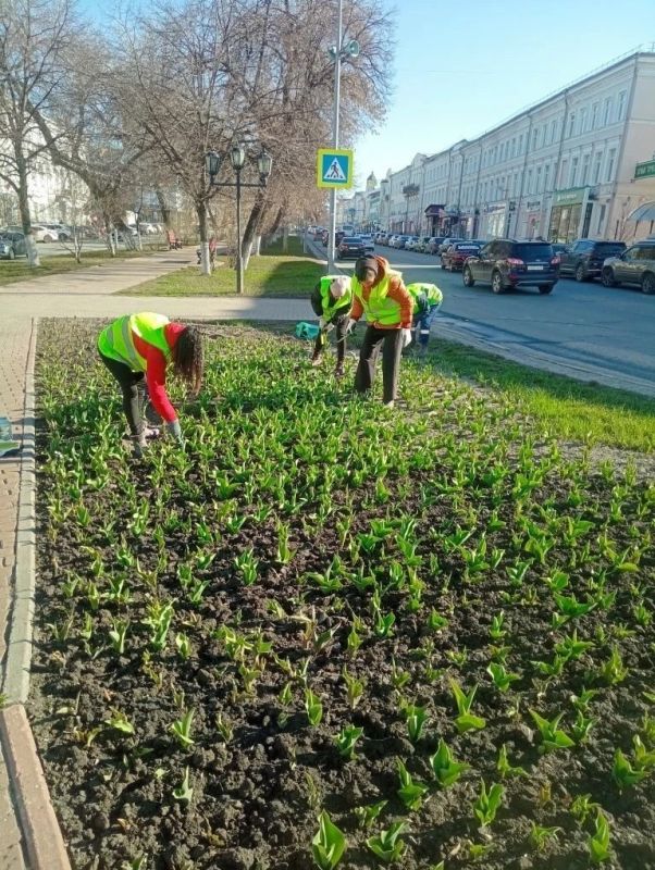 43 ������ ��������� ����������� � ���������� � 9 ���