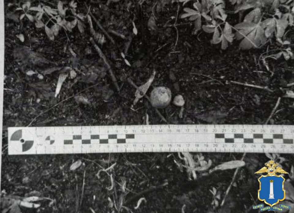 � ���������� ����������� ��������� ������������� � ���������� ������� ����������