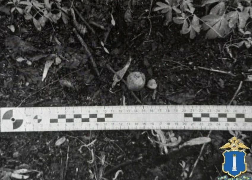 � ���������� ����������� ��������� ����� ������ � ����� ������� � ����������