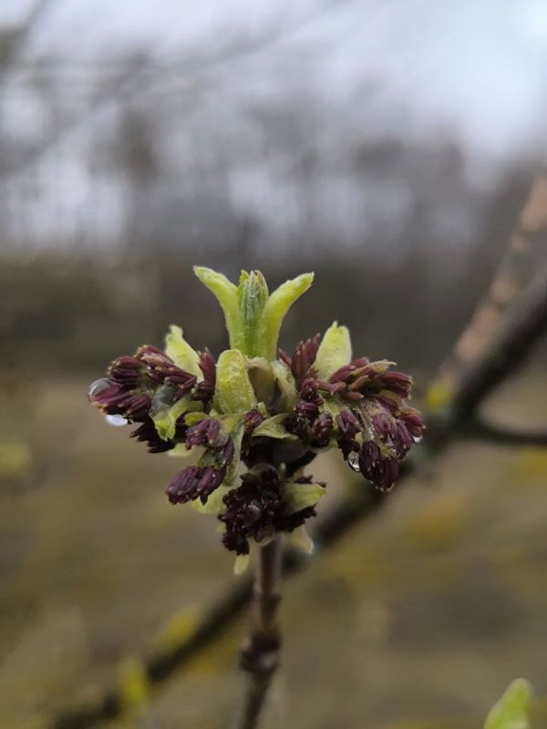 ������ ����, ������!. 21 ������