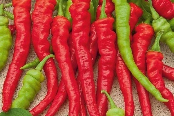 ����� ������� ���: ������, ��������� � ������������� � ���������