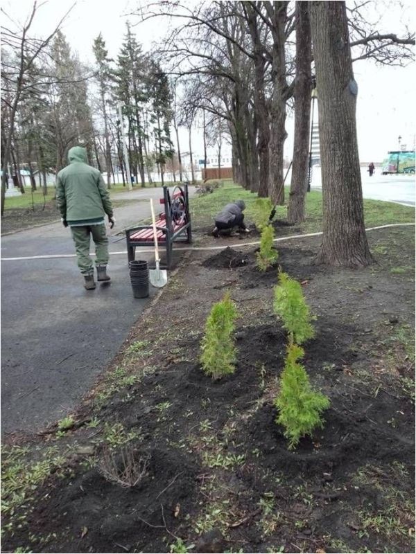 � ���������� ��������� ������������ �����