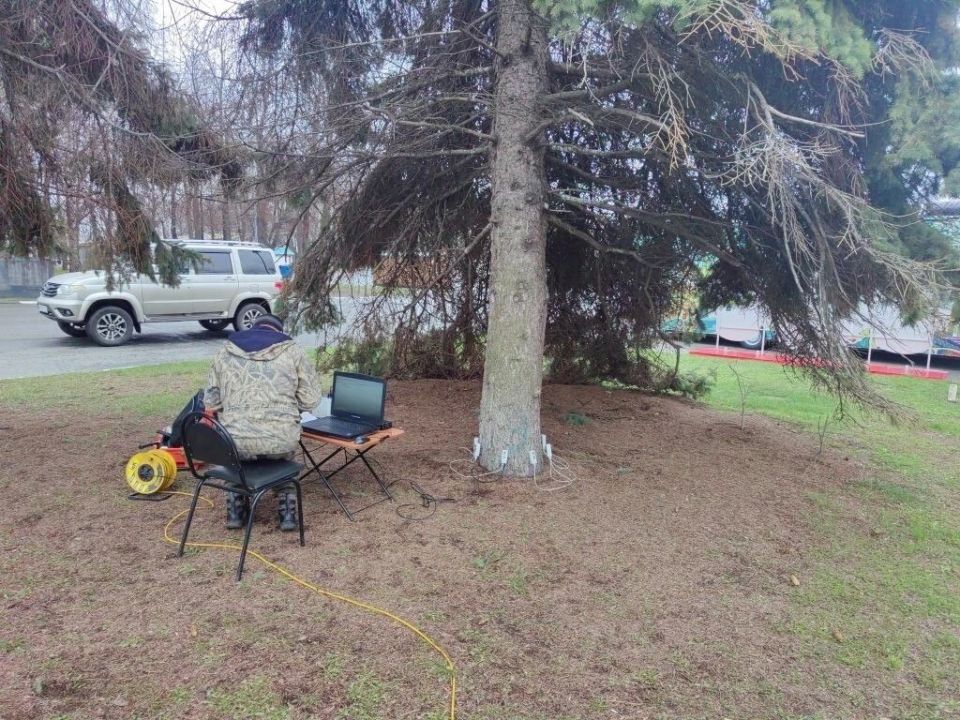 � ���������� ��������� ������ ���� ������ � ������� ��� � ����������