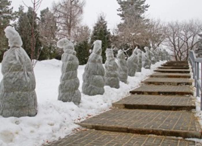 ��� �������� �������� �� �������: ������� �������� ����