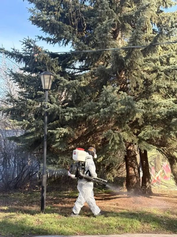 � ������ ���������� ������ ����������� ��������� ���������� �� ���������