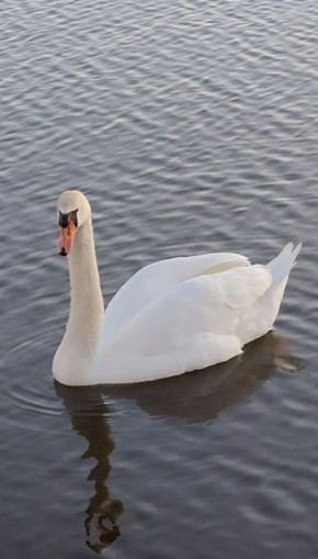 ������ ����, ������!. �������, 23 ������, ��������� ��������� ���� ����� � ���������� �����, ���� �����������, ���� �������� ��� ����� � ��������� ���� �����������