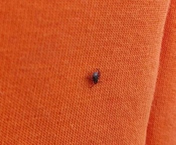 � ���������� �� ������ ������ ����� � 21 ��������