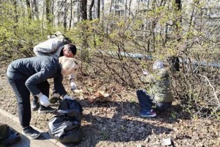 ��������� ������ �� ������������� ���������