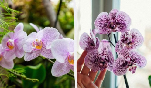 ��� ��������� ���� ������� ����� ������� ������� ������� � ��������