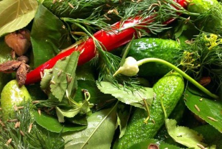 ������ �� �����: ��������� ������� � �����