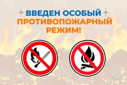 � ������� ���������� ����������� ������ ��������������� �����