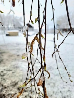 � ������� ������ ����� ����