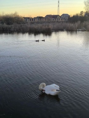 ������ ����, ������!. 26 ������ � ������������� ���� ������ � ������������� ����������, �������� ���������� �����, ���� ���������� � ������������� ���� ����� ���������