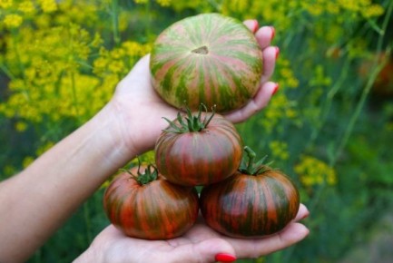 ����� ����� 26: ����������� � ������ �� ��� �����������