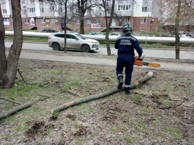 � ���������� ������� ���������� ������ �������