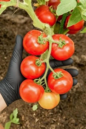 ��� ��� ������������ �������� ���� ������ ������ ������� ��������