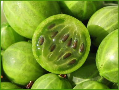 ������ ����� � ��� �����: ����������� ����� �������� �������������