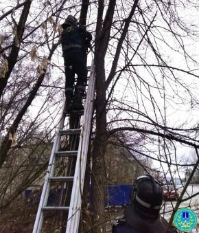 ��������� ����� ���� � ������ � ��������