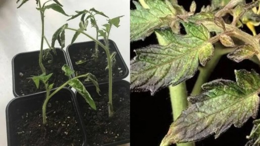 ��� ������� ������ ������� ��� ������ � ���� ������ ��������