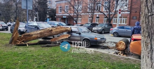 ������ ����� ����� �� ��� ������ �� ��. ���� ��������