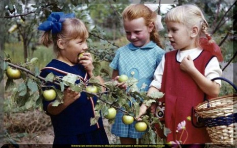 ������ �� �������: ����� ����� � ������� �����, ������� ����� �����������