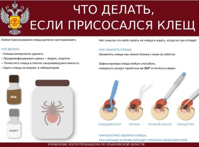 �� ������ � ���������� ����� ����������� � 48 �����