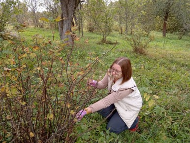 ��� ������� ������ � ������� ��������� ������ �� ������: ����������� � ������