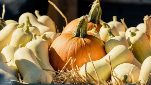 ��������� ������ �������: ��������, ������� � ������������