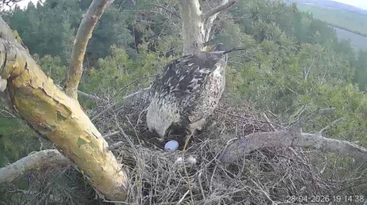 ������� ������� ������, �� ��������� ����� ���������: ��������� � ������ ����� ��������� �� ������ ����� � �������