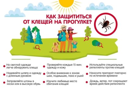 � ���������� ������� ���������� ���������� ���������� � �������� ������������ �����