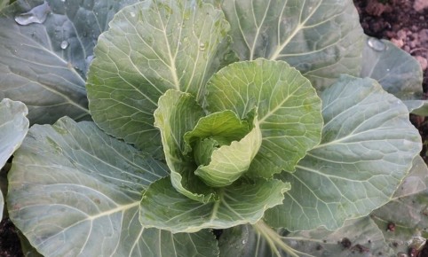 ��� ��������� ����� ������� ��� �������� ��������� ������ �������