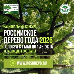 �������� ��� � 5 ���:. ���������� ��� ����������� ������� ��������� � �������� ����������� ������ � 2026!� ����� ��� ������ ������ �������� ������, �������� �����, �������� ����������� ��������� � ���� � �������