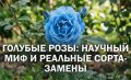 ������� ������� ����: ��� ��� ����������?