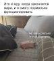 �������������� � ��������������� �������� ������ �� ���������� ����������� �������