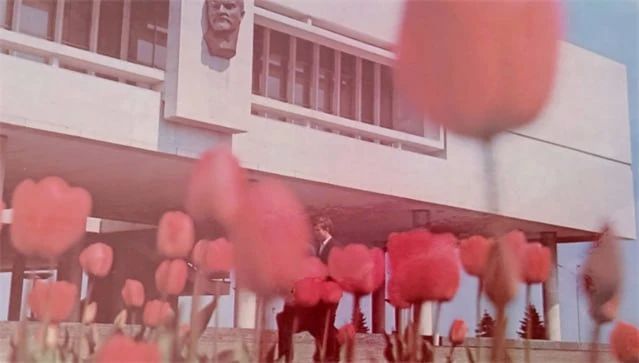 Ретроспектива в 90 лет. Как «Горзеленхоз» менял облик Ульяновска