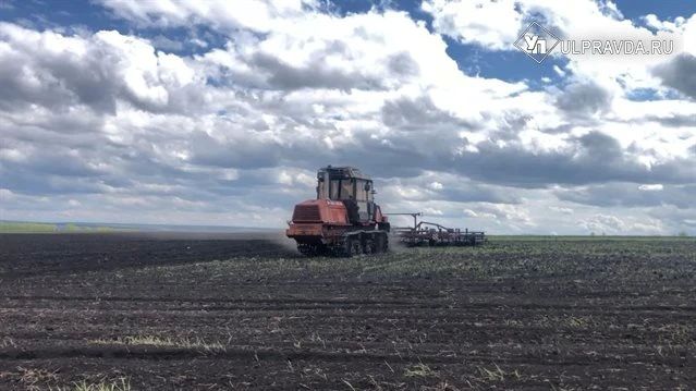 В регионе в разгаре посевная кампания
